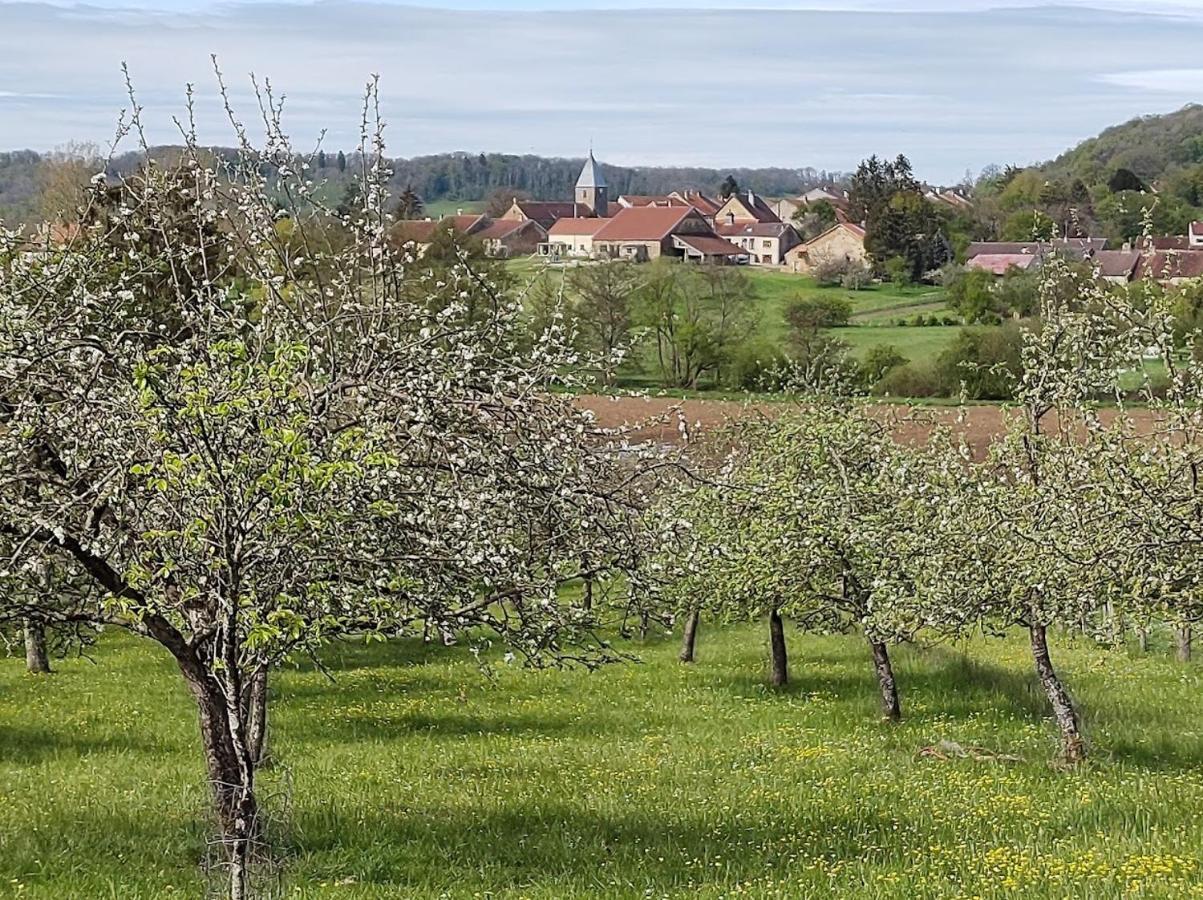 Chateau D'Impasse Laferte-sur-Amance Экстерьер фото