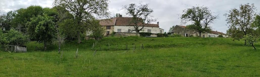 Chateau D'Impasse Laferte-sur-Amance Экстерьер фото